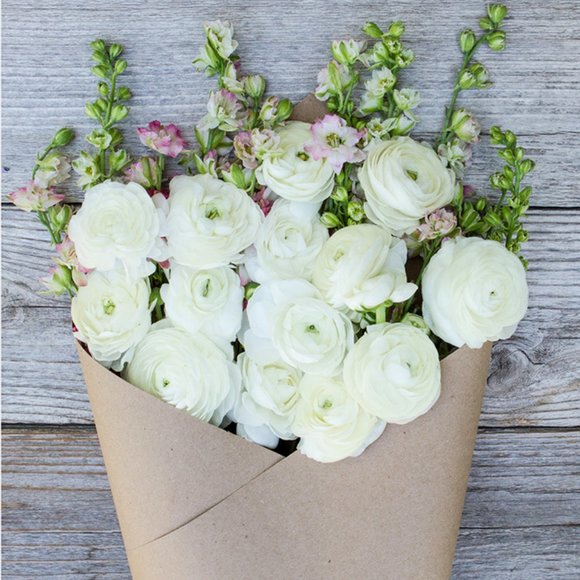 Meet your Posher, Tami - Picture 1 of 1